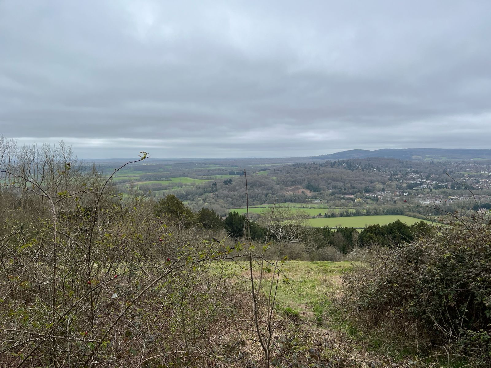 View from Juniper Top